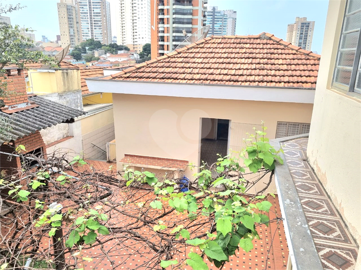 Foto REO1044331