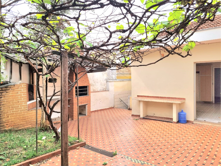 Foto REO1044331