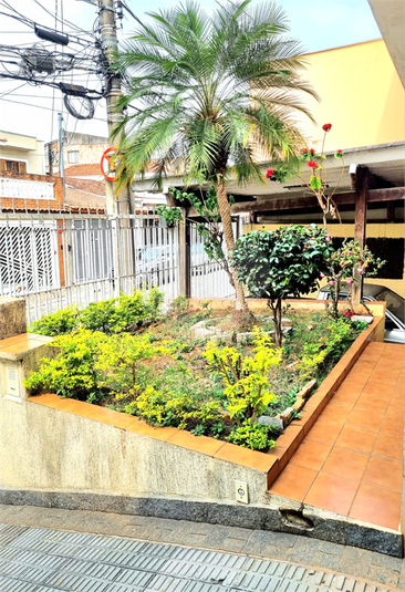 Foto REO1044331