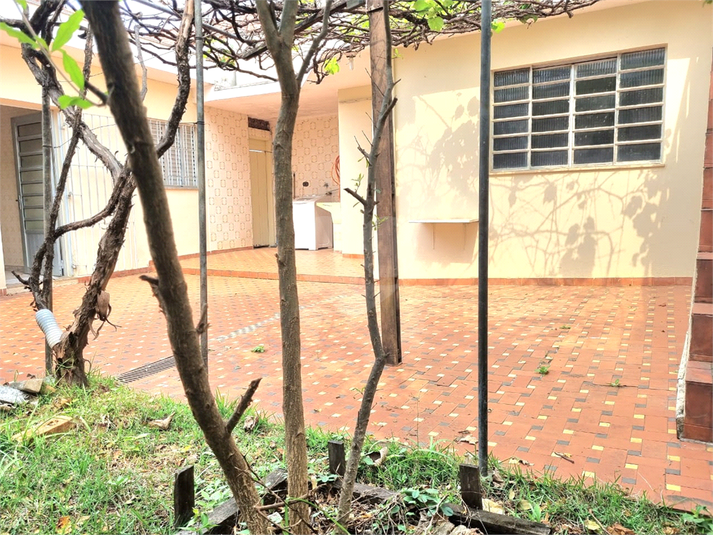 Foto REO1044331