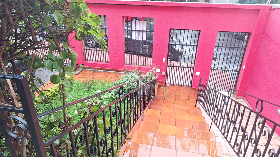 Foto REO1044777
