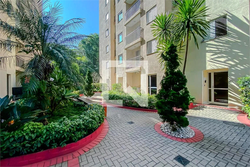 Venda Apartamento São Paulo Penha De França REO1044784 50