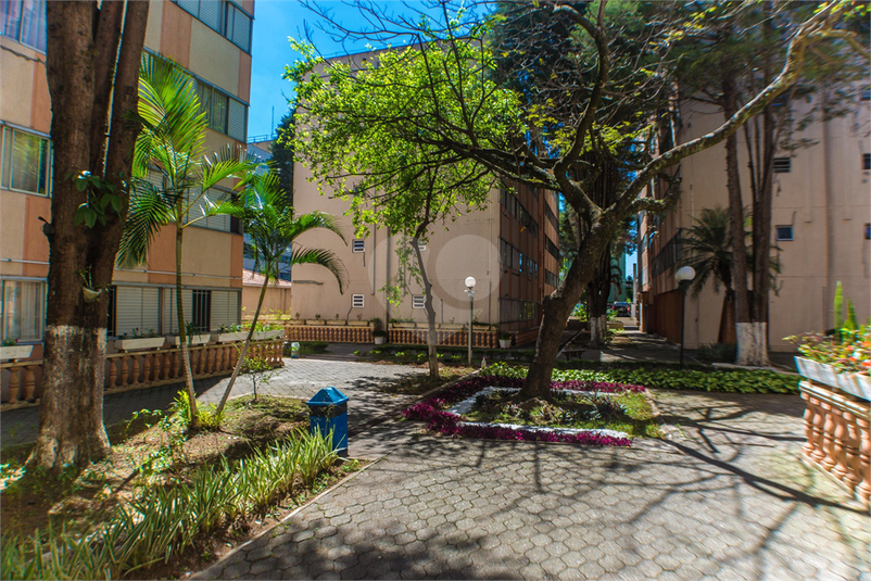 Venda Apartamento São Paulo Barro Branco (zona Norte) REO1045550 28