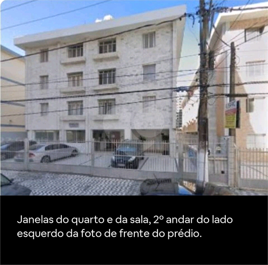 Foto REO1045677