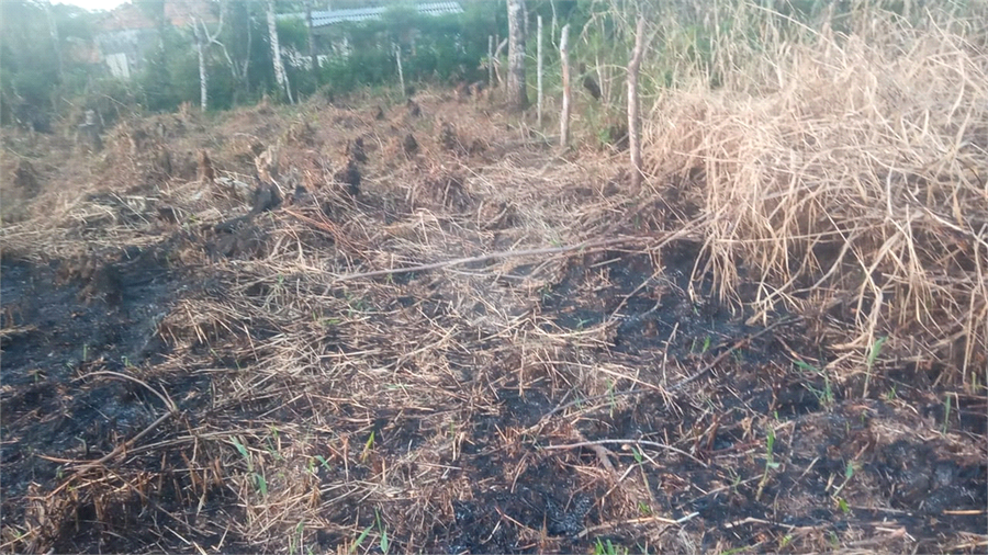 Venda Terreno Peruíbe Estância São José REO1045701 5