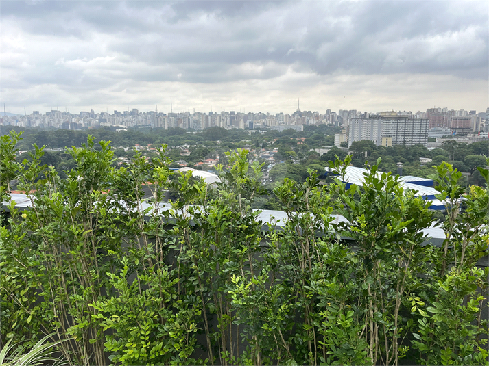 Aluguel Apartamento São Paulo Indianópolis REO1045810 1