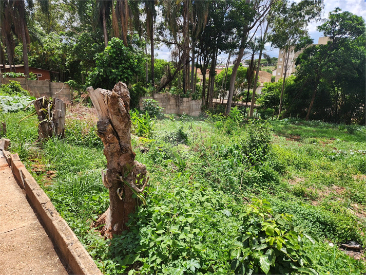 Venda Terreno Araraquara Jardim Do Carmo REO1045821 6