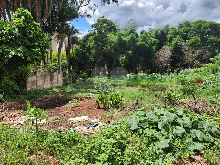 Venda Terreno Araraquara Jardim Do Carmo REO1045821 9