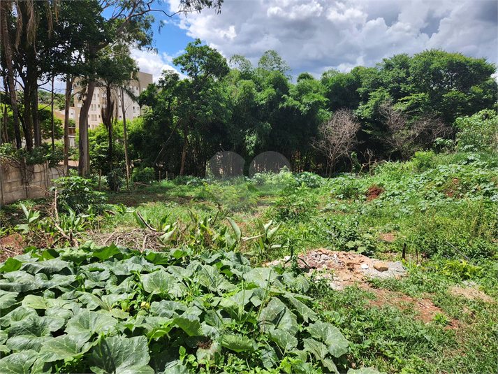 Venda Terreno Araraquara Jardim Do Carmo REO1045821 8