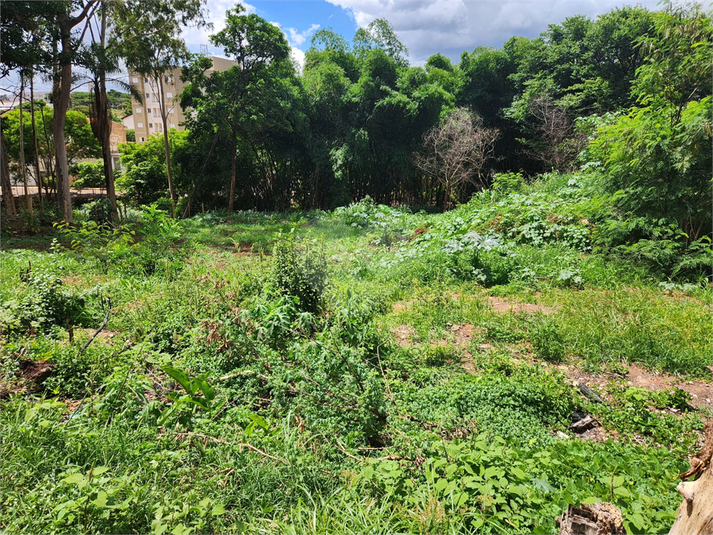 Venda Terreno Araraquara Jardim Do Carmo REO1045821 7