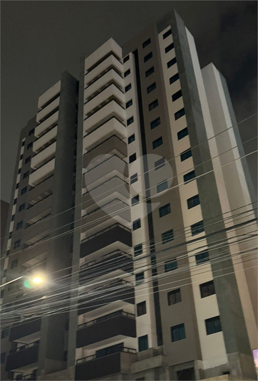 Foto REO1045856