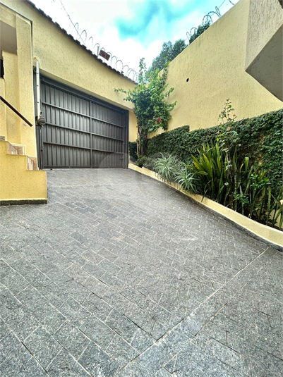 Foto REO1045965