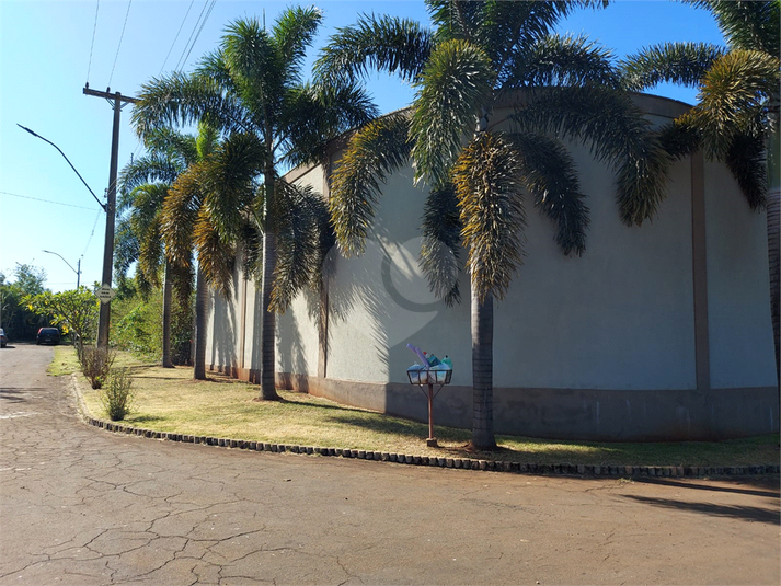 Foto REO1046041