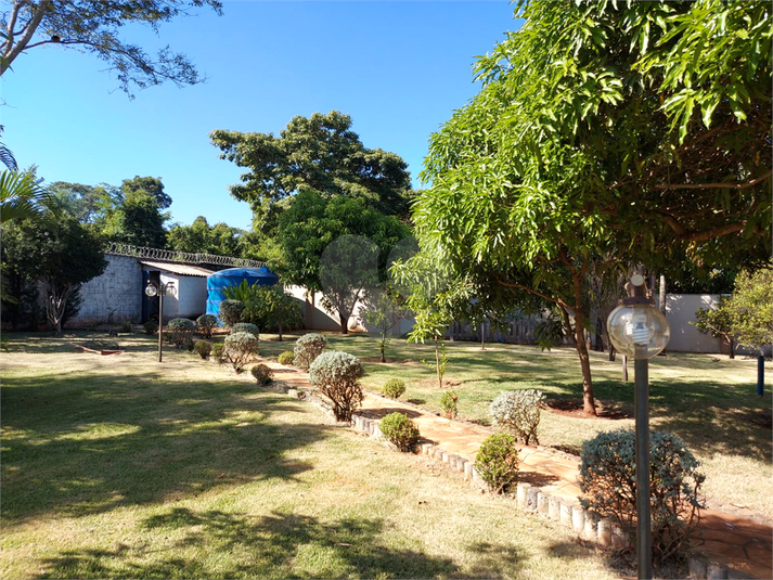 Foto REO1046041