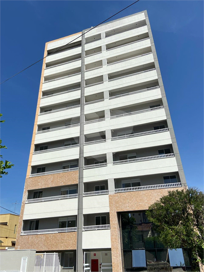 Foto REO1046061