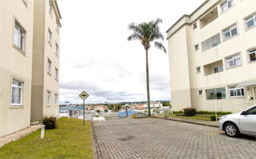 Venda Apartamento São José Dos Pinhais Cidade Jardim REO1046099 17