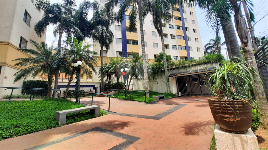 Aluguel Apartamento São Paulo Jardim Textil REO1046150 30