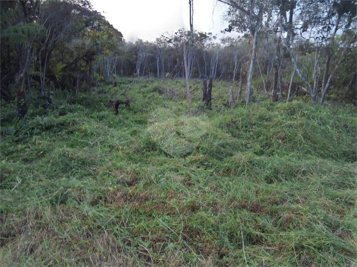 Venda Terreno Peruíbe Jardim Márcia REO1046170 7