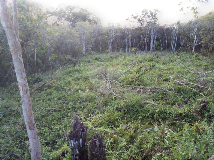 Venda Terreno Peruíbe Jardim Márcia REO1046170 5