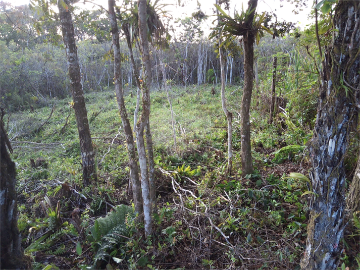 Venda Terreno Peruíbe Jardim Márcia REO1046170 4