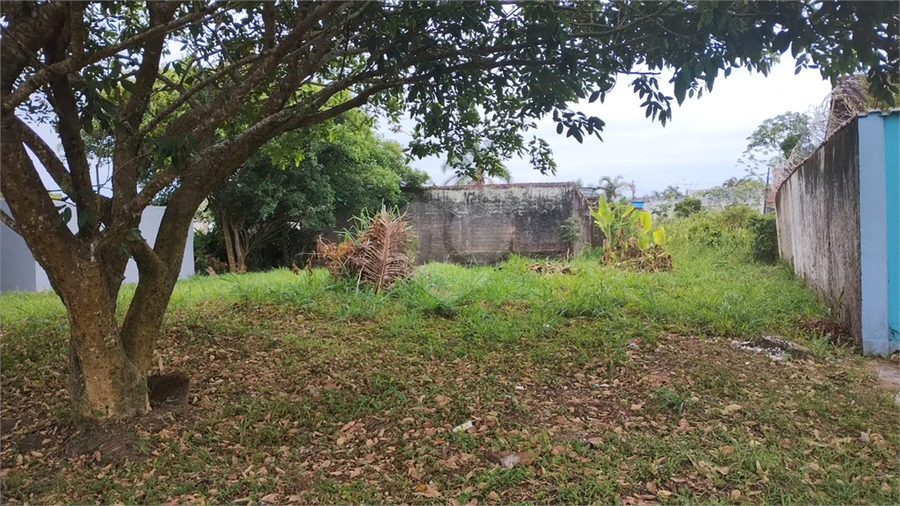 Venda Terreno Peruíbe Estância Balneária Convento Velho REO1046214 7