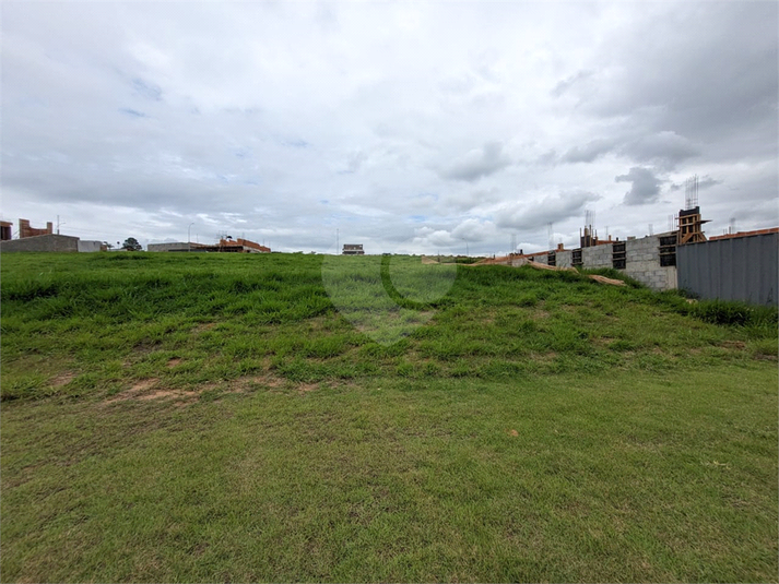 Foto REO1046269