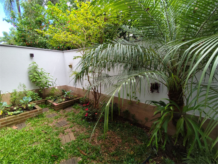 Foto REO1046284