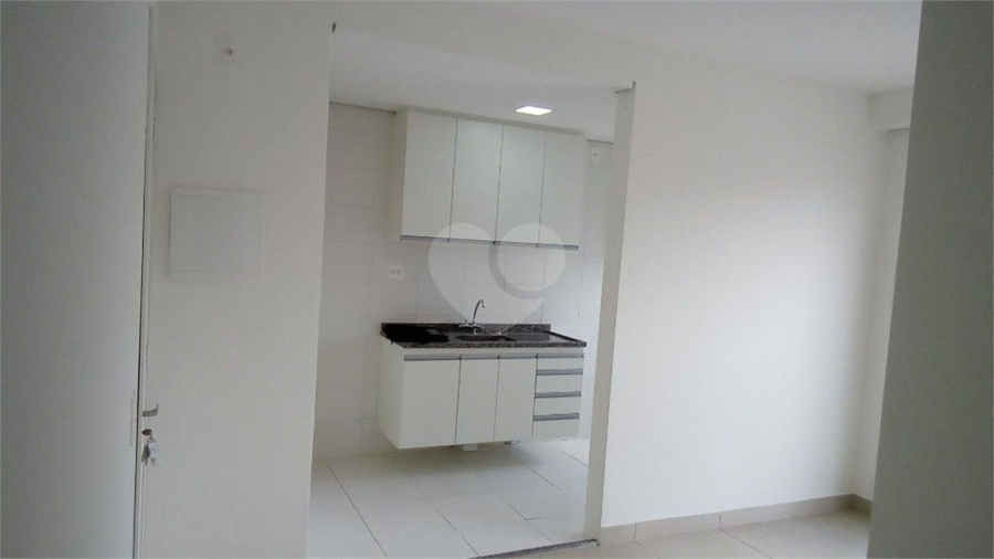 Aluguel Apartamento Valinhos Ortizes REO1046311 8