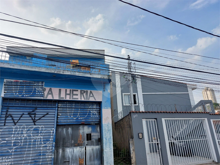 Foto REO1046320