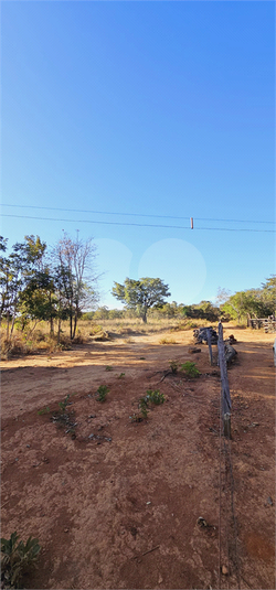Foto REO1046394