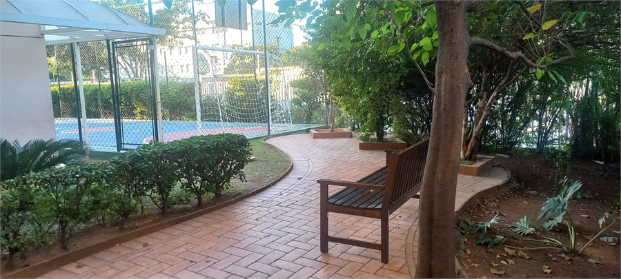 Aluguel Apartamento São Paulo Jardim Pereira Leite REO1046420 24