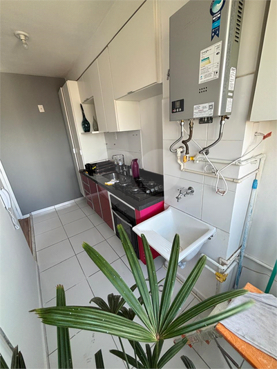 Aluguel Apartamento São Paulo Vila Gustavo REO1046462 15