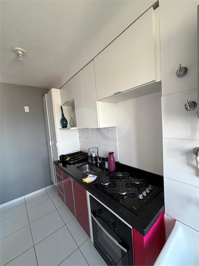 Aluguel Apartamento São Paulo Vila Gustavo REO1046462 13