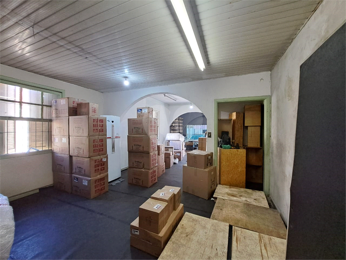 Foto REO1046576