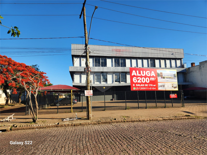 Aluguel Prédio inteiro Porto Alegre Anchieta REO1046632 1