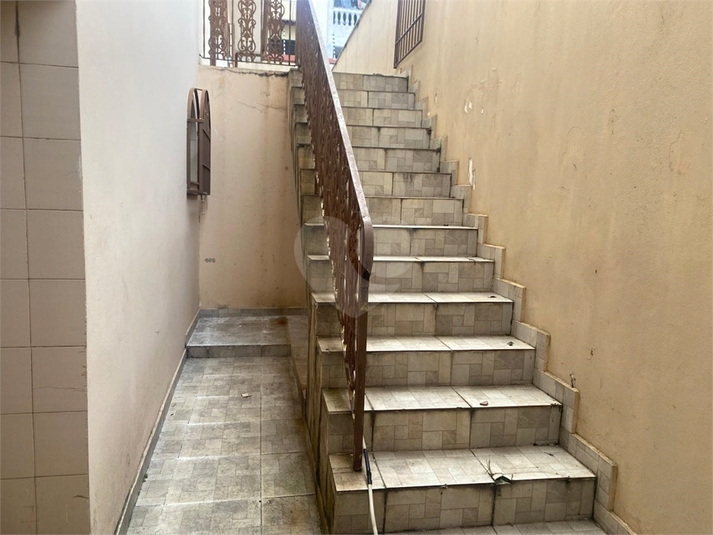Foto REO1046640