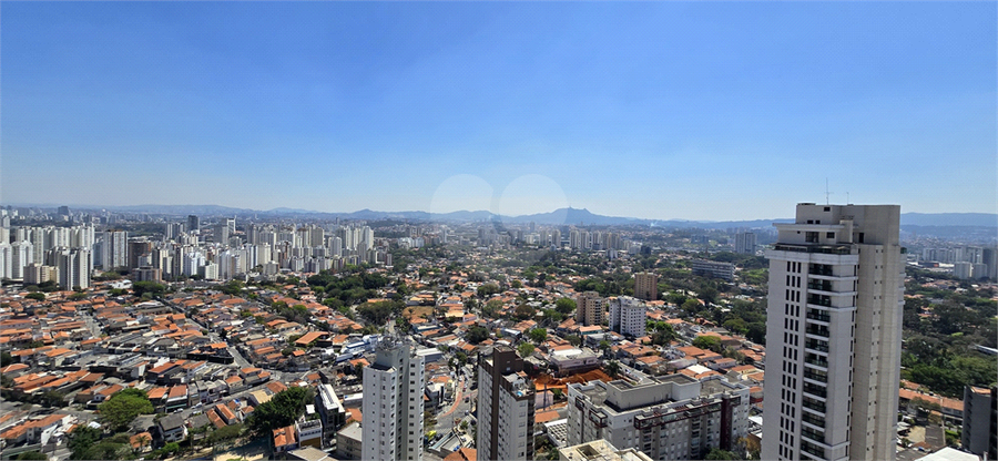 Foto REO1046714