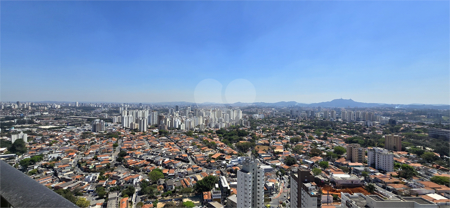 Foto REO1046714