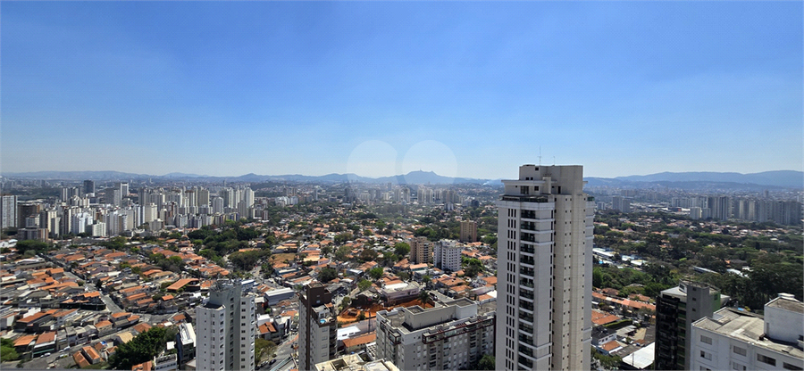 Foto REO1046714