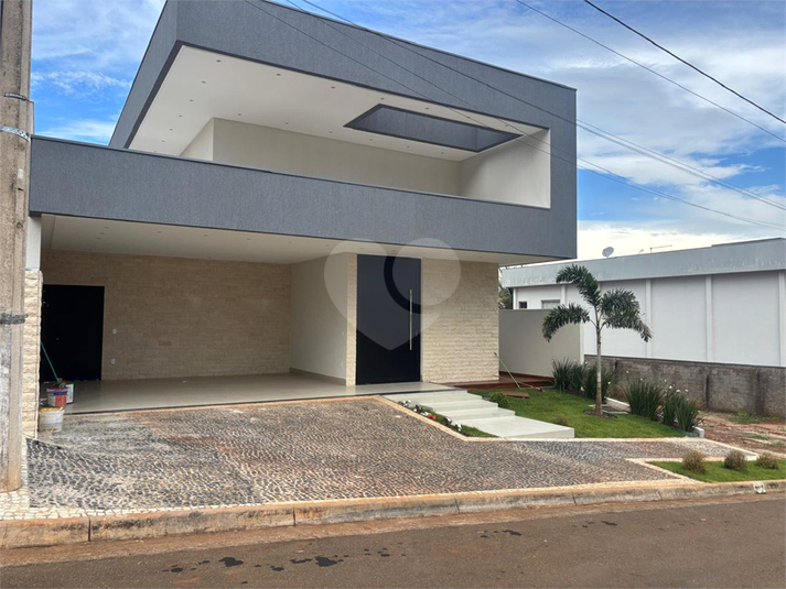 Foto REO1046734