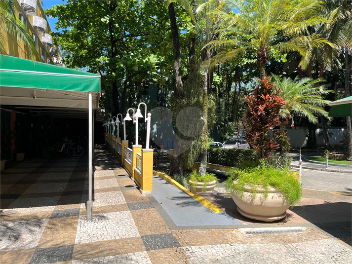 Foto REO1046812