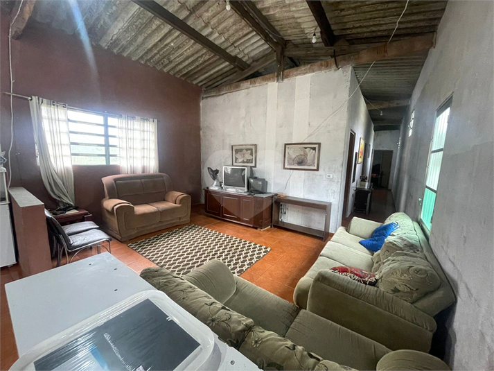 Foto REO1046845