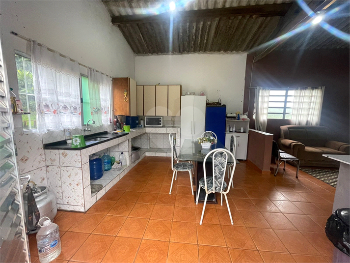 Foto REO1046845