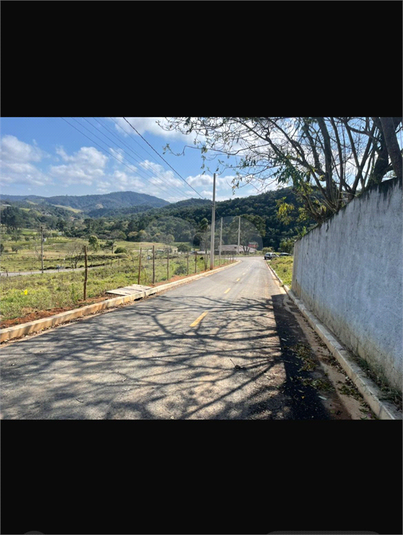 Foto REO1046845