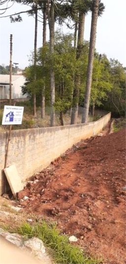 Venda Terreno Fazenda Rio Grande Estados REO1046855 5