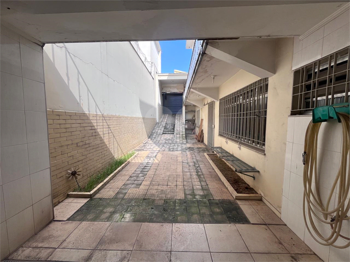 Foto REO1046860