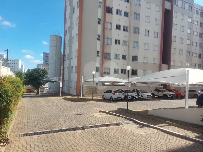 Venda Apartamento São Carlos Recreio São Judas Tadeu REO1046873 20