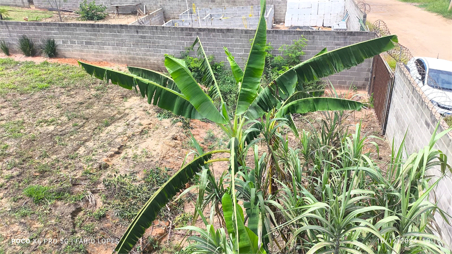 Venda Terreno Campinas Chácara De Recreio Santa Fé REO1046877 12