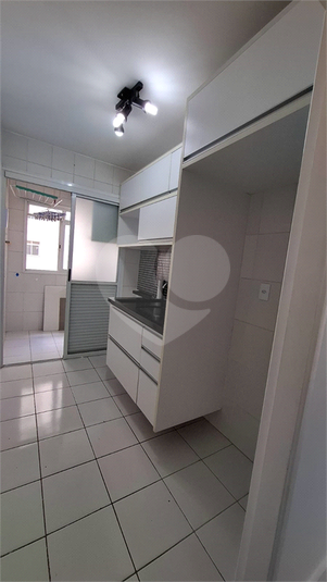 Aluguel Apartamento São Paulo Tatuapé REO1047002 5