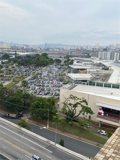 Foto REO1047075